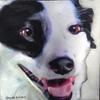 Collie

8 x 8
Mixed media